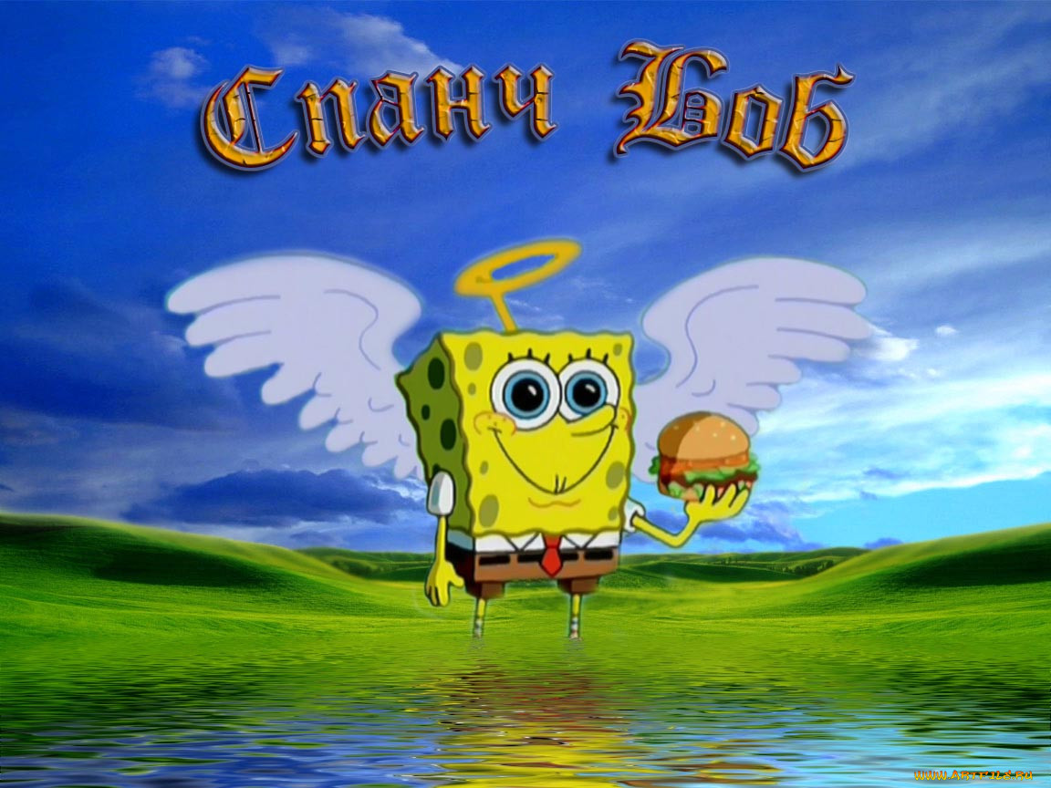 , , , spongebob, squarepants